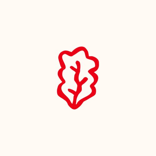 Lettuce icon